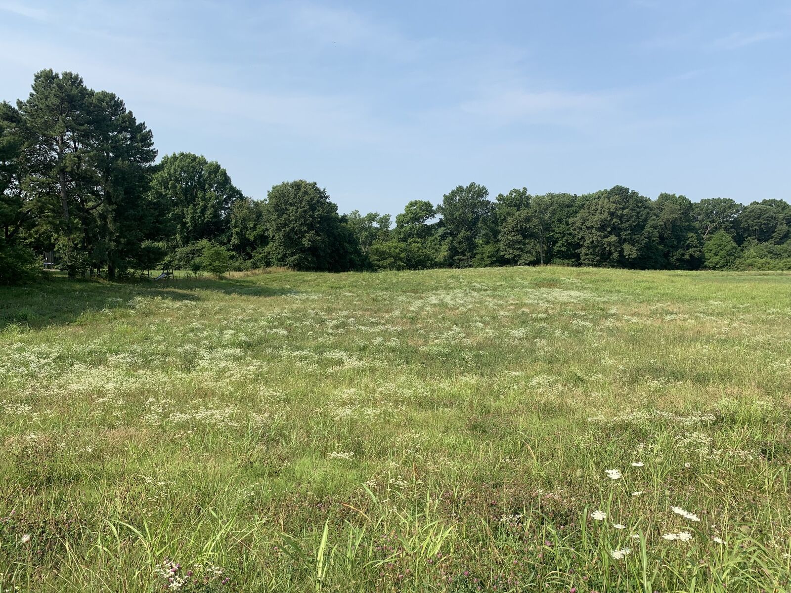 Property Photo:  0 Highway 52 W  TN 37148 