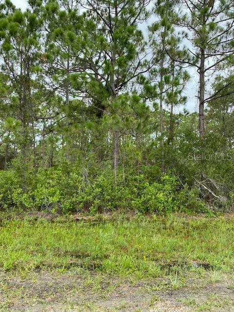 Property Photo:  3261 Gillot Boulevard  FL 33981 