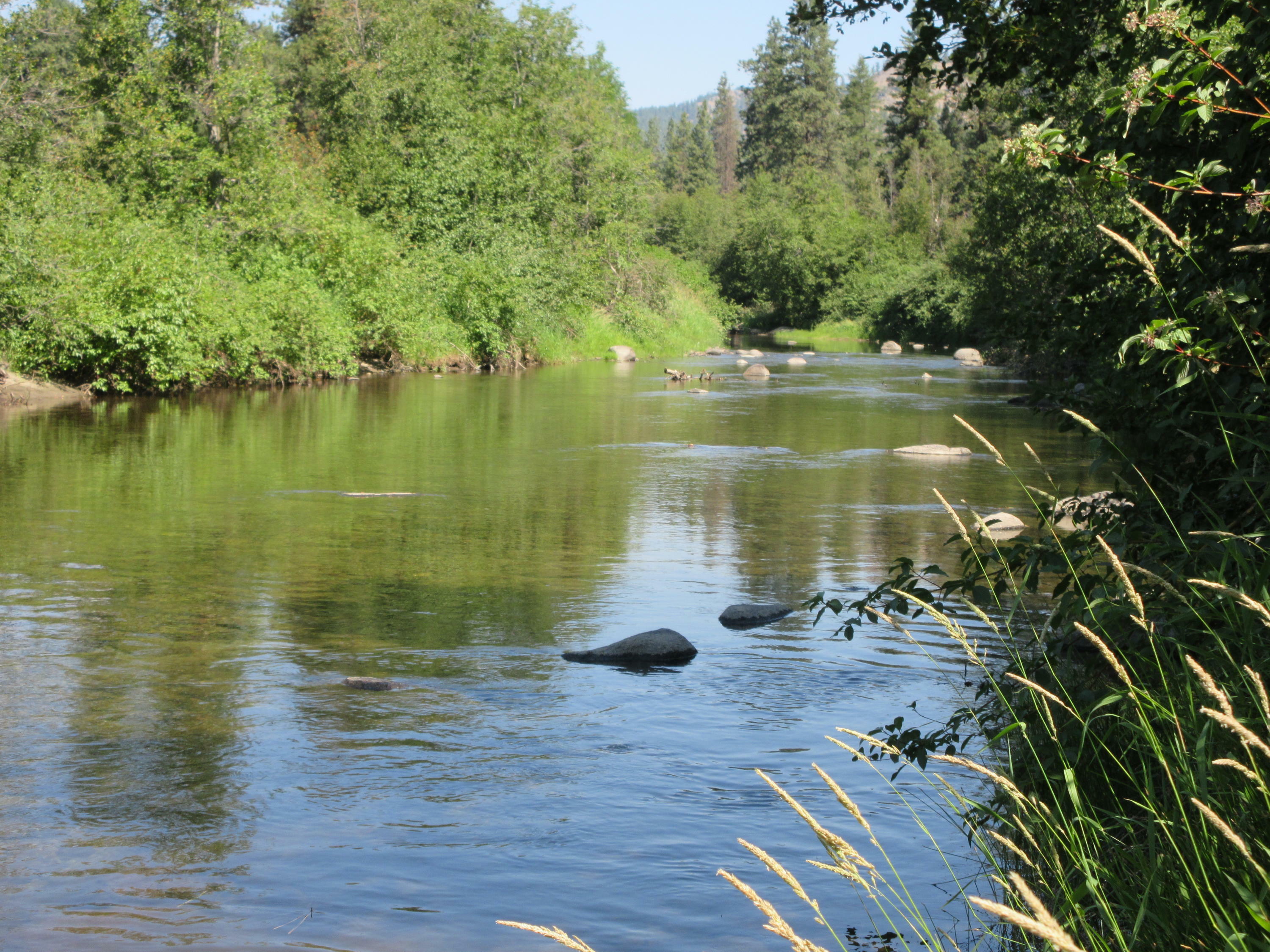 Property Photo: Tbd E San Poil River Rd WA 99140