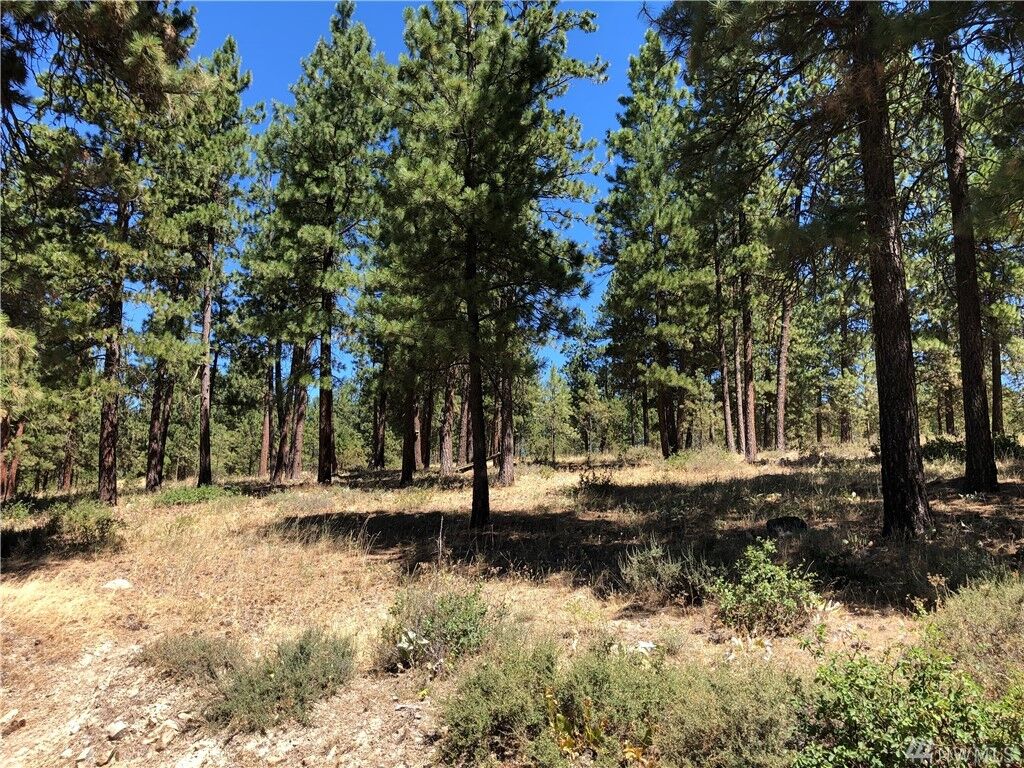 Property Photo: Lot C Masterson Rd WA 98922