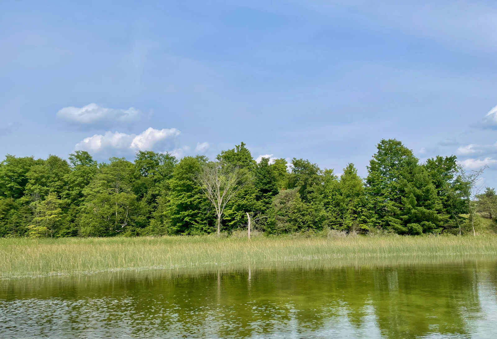 Property Photo:  805 Guenther Ridge  MI 49735 