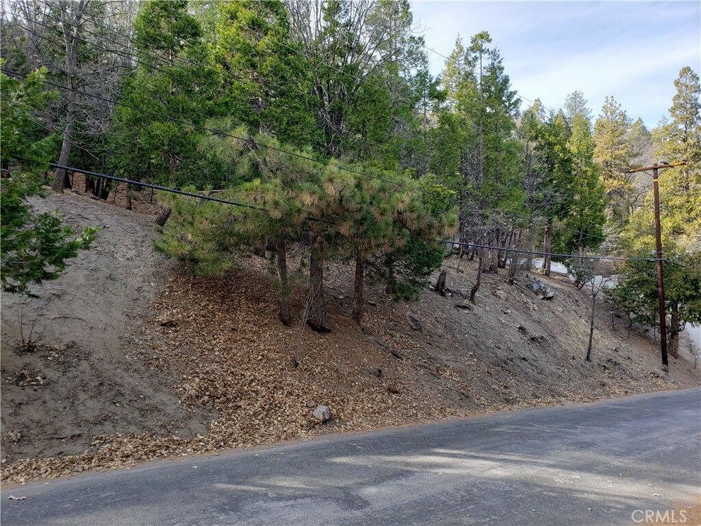 Property Photo:  0 Zurich Drive  CA 92352 