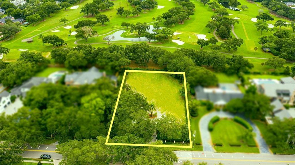 Property Photo: 1012 S Frankland Road FL 33629
