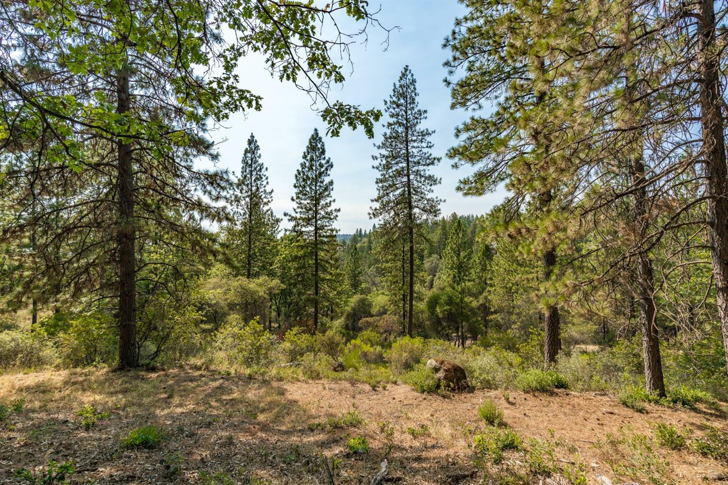 Property Photo: 1230 Forest View Drive CA 95722