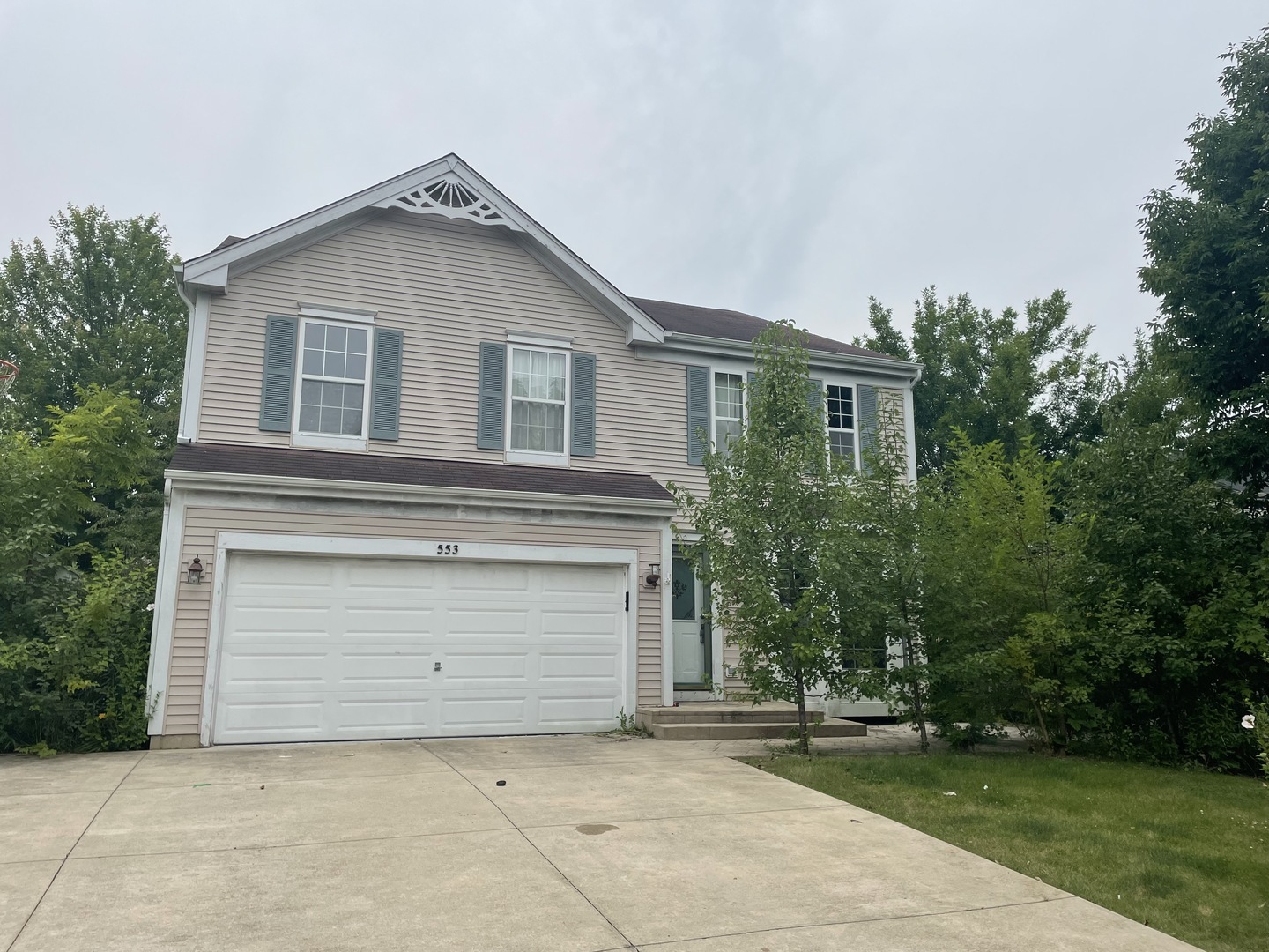 Property Photo: 553 Wingpointe Drive IL 60506