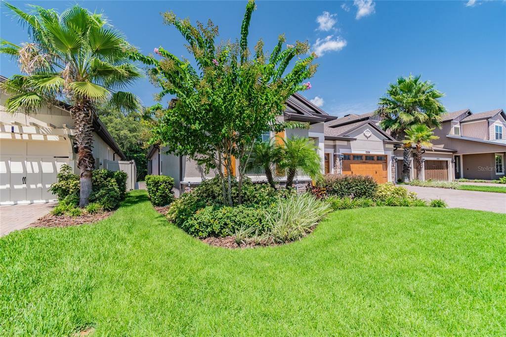 Property Photo:  10308 Scarlet Chase Drive  FL 33569 