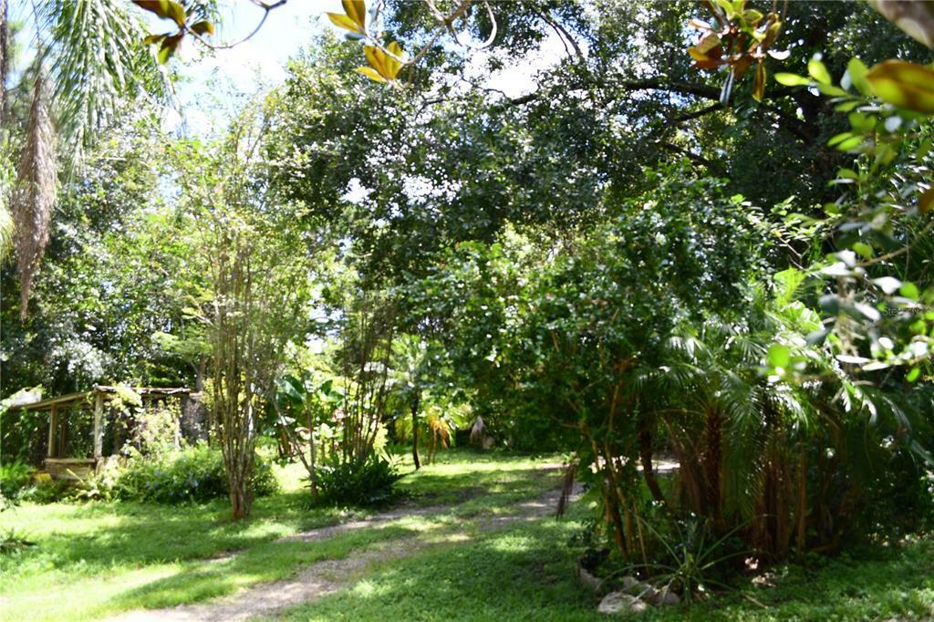 Property Photo:  1201 Lake Downey Drive  FL 32825 