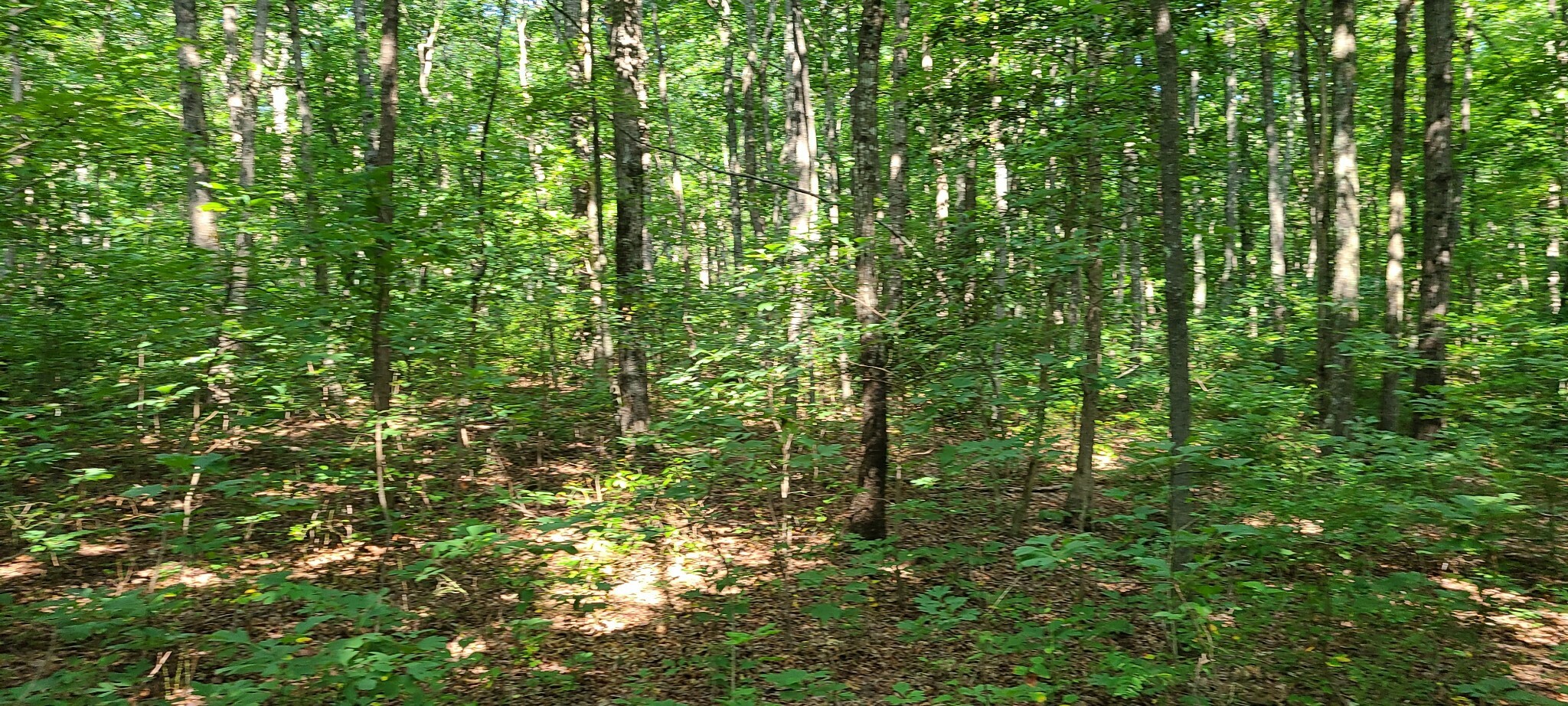 Property Photo:  0 Valley View Dr Lot 34  TN 37301 