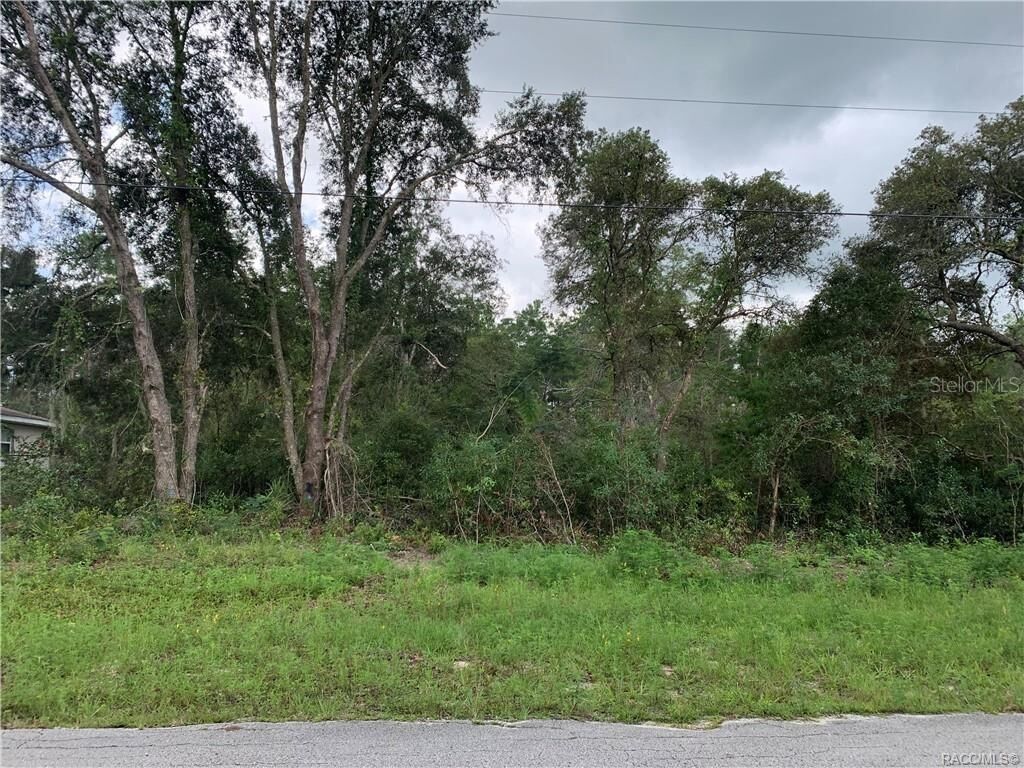 Property Photo:  Lot 12 SW 44th Circle  FL 34473 