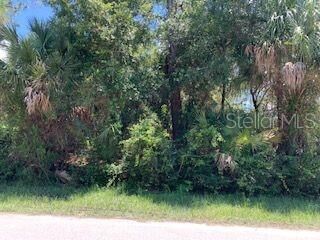 Property Photo:  Bellefonte Avenue  FL 34286 