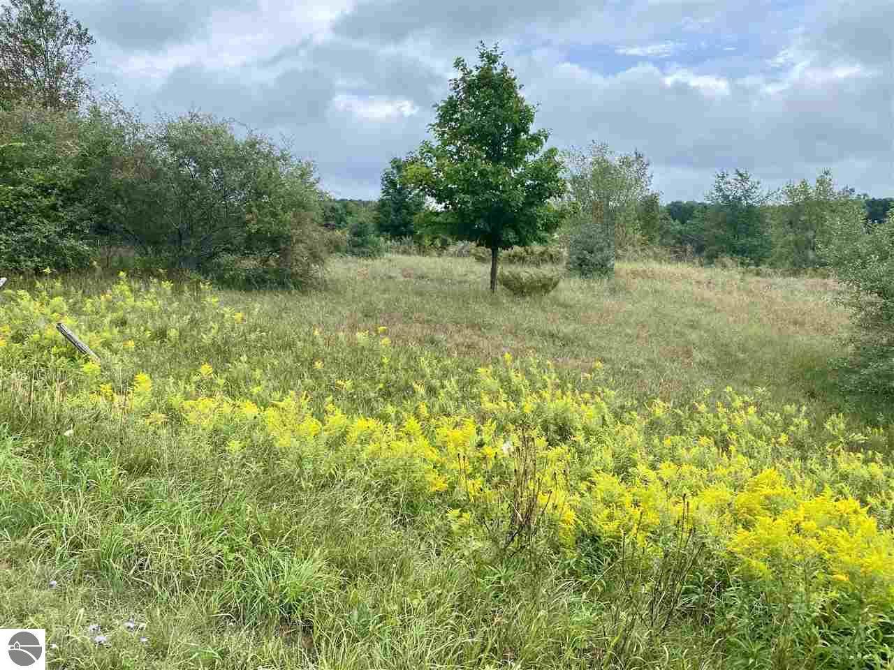 Property Photo: 000 Michigan Avenue MI 49635