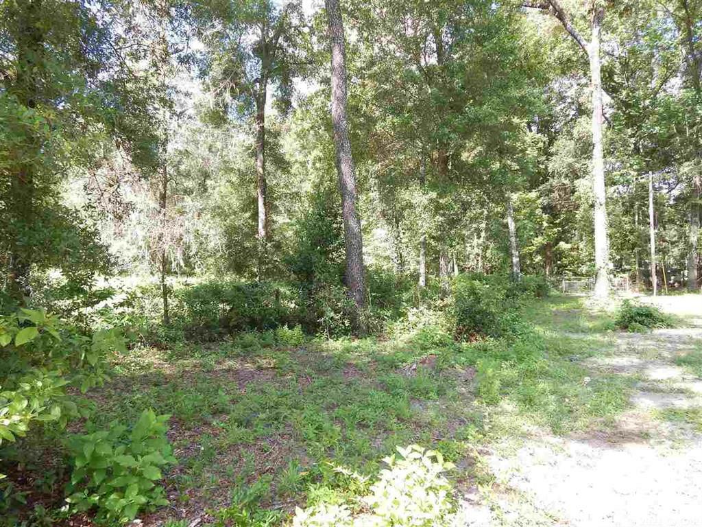 00 Salem Tower Road  Perry FL 32347 photo