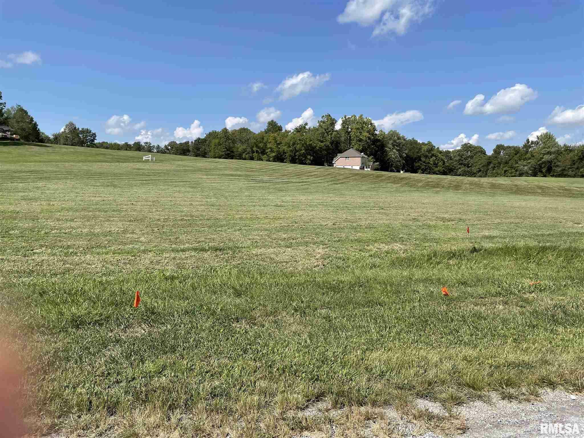 Property Photo: 000 Majestic Drive IL 62966