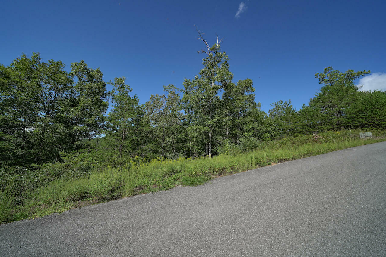 Property Photo:  Lot 12 Mountain Ash Way  TN 37876 