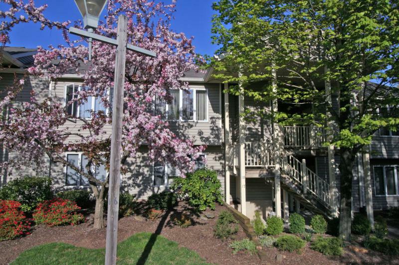 Property Photo: 18 Westchester Terrace NJ 08801