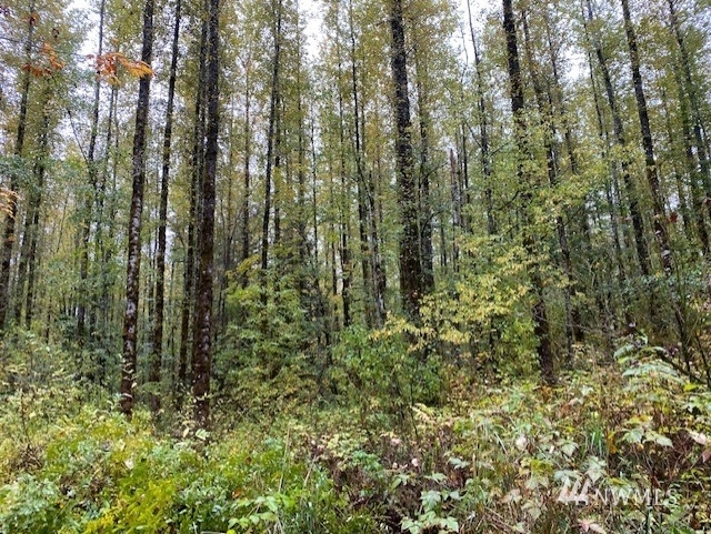 Property Photo:  0 Homesteader Road  WA 98244 