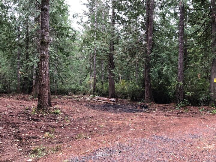 Property Photo:  0  East Appaloosa Road  WA 98584 