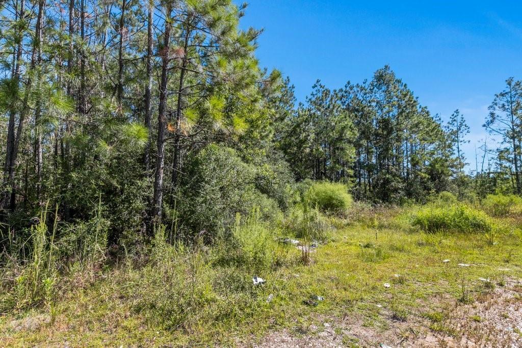 Pilgrim Rest Rd  Dequincy LA 70633 photo