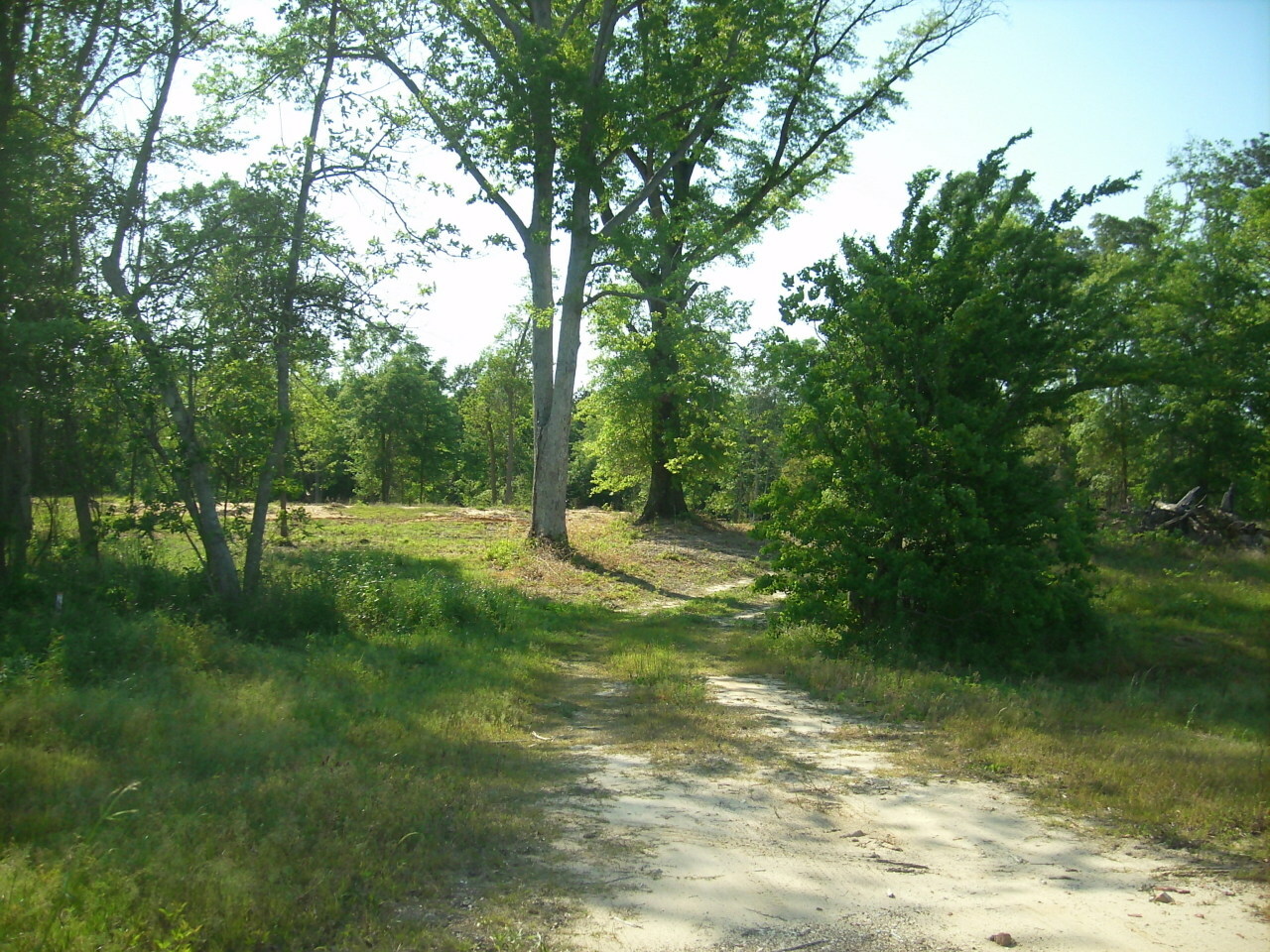 Property Photo:  Highway 171 South  LA 70634 