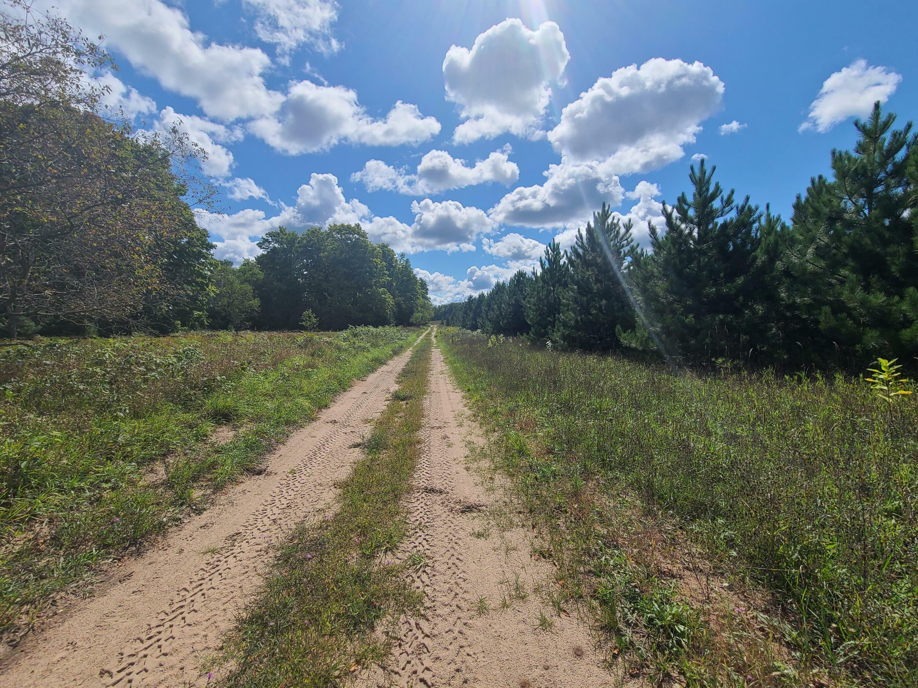 Property Photo:  Olson Road 40 Acres  MI 49721 