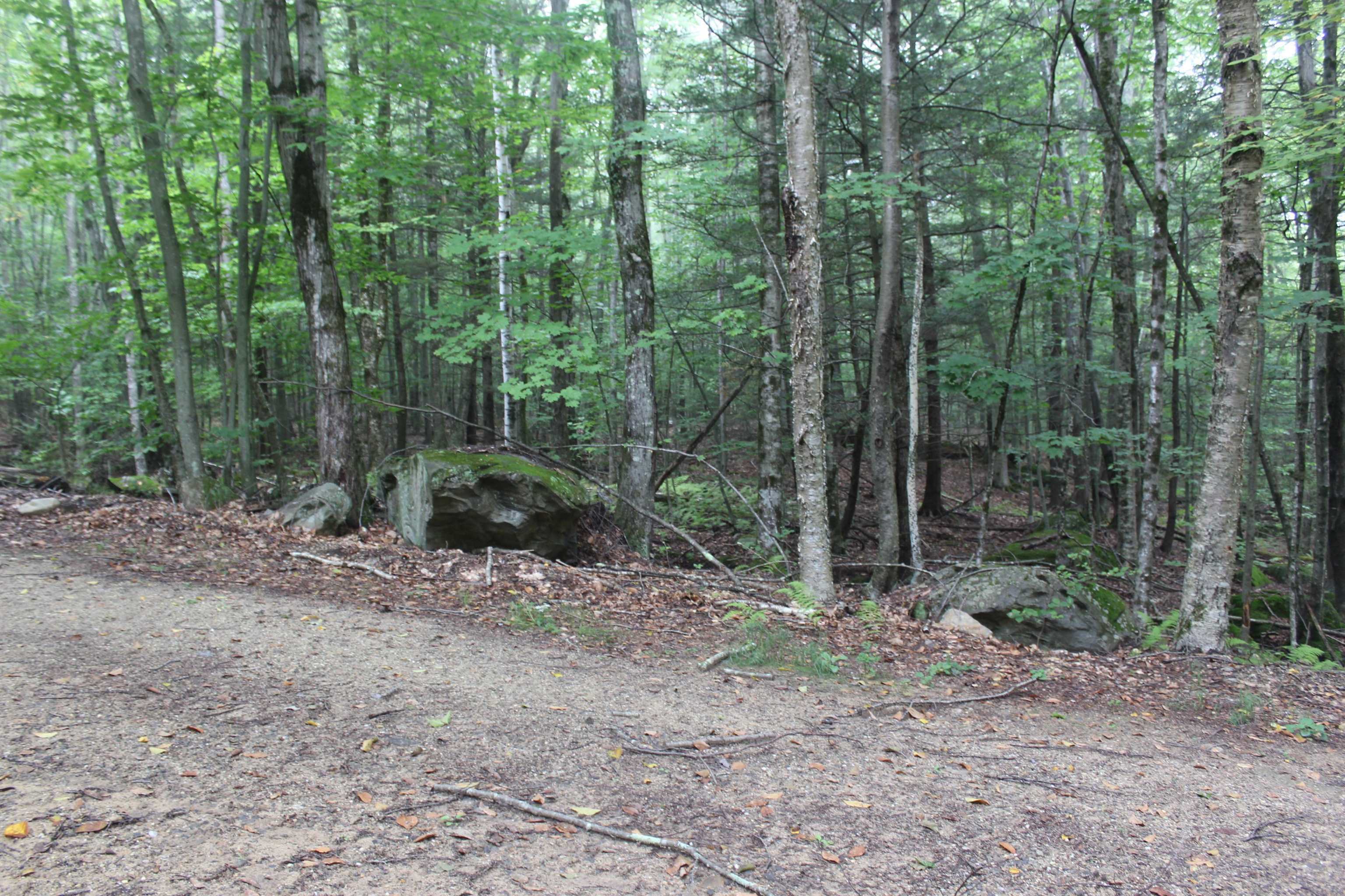 Property Photo:  120 Canaan Road  NH 03884 