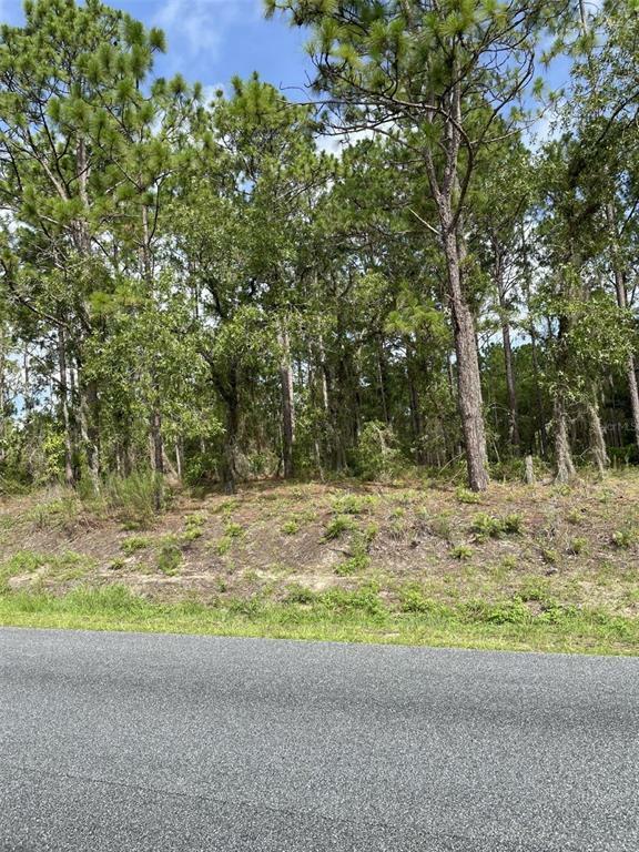 Property Photo: SW 115th Terrace FL 34481