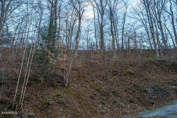 Property Photo:  Pt 19 Dunn Hollow Rd  TN 37862 