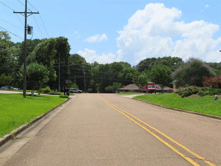 Property Photo:  105 Woodchase Park Drive  MS 39056 