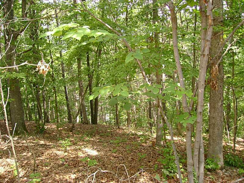 Property Photo:  Leverton Lane  AR 72715 