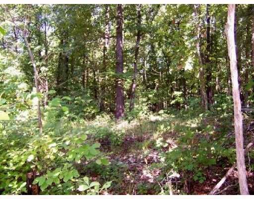 Property Photo:  Tract 19 Hillview Acres  MO 65730 