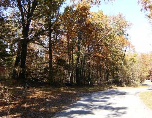 Property Photo:  Derik Road  AR 72764 