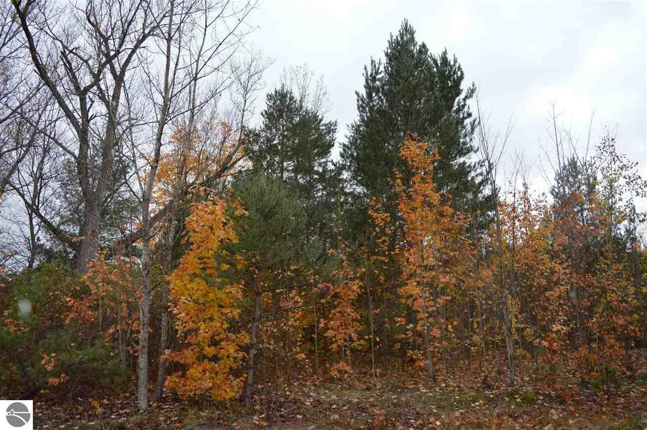 County Line Road  Mancelona MI 49659 photo