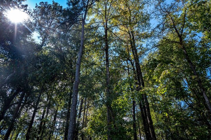 Property Photo:  8782 Creekrise Drive  GA 31904