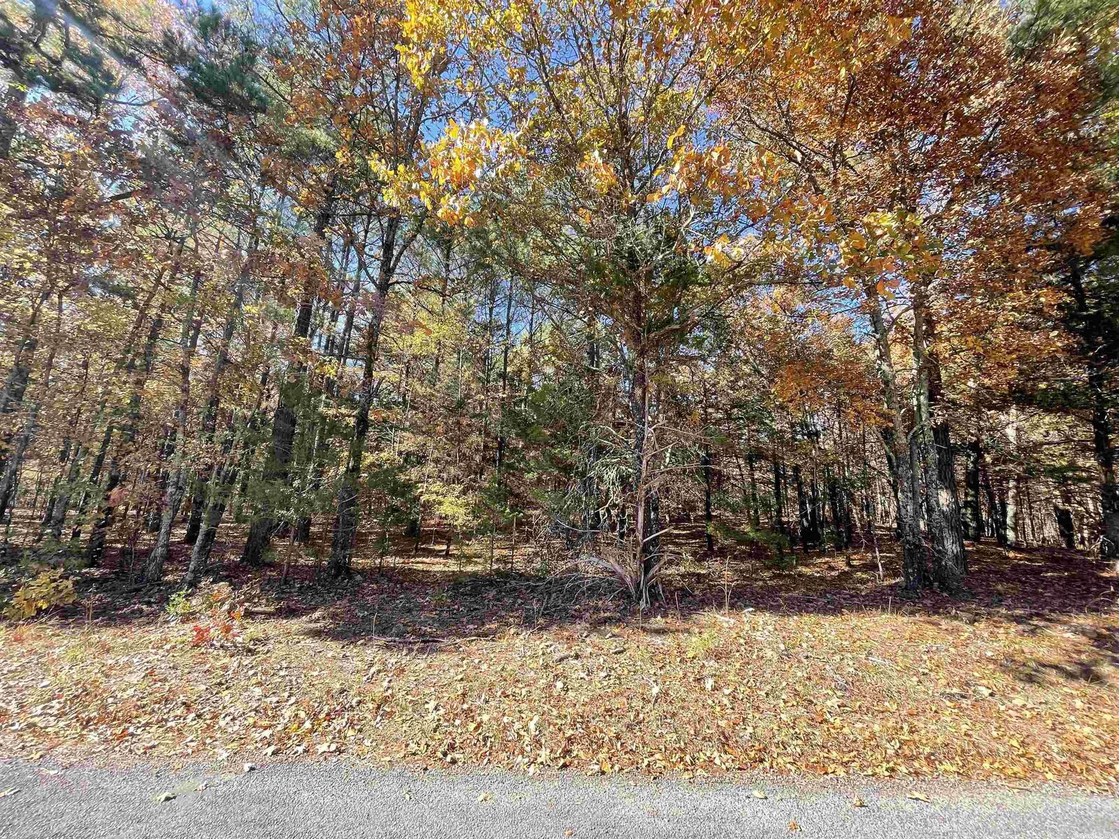 Property Photo:  Tract 4 Wilderness Road  AR 72058 