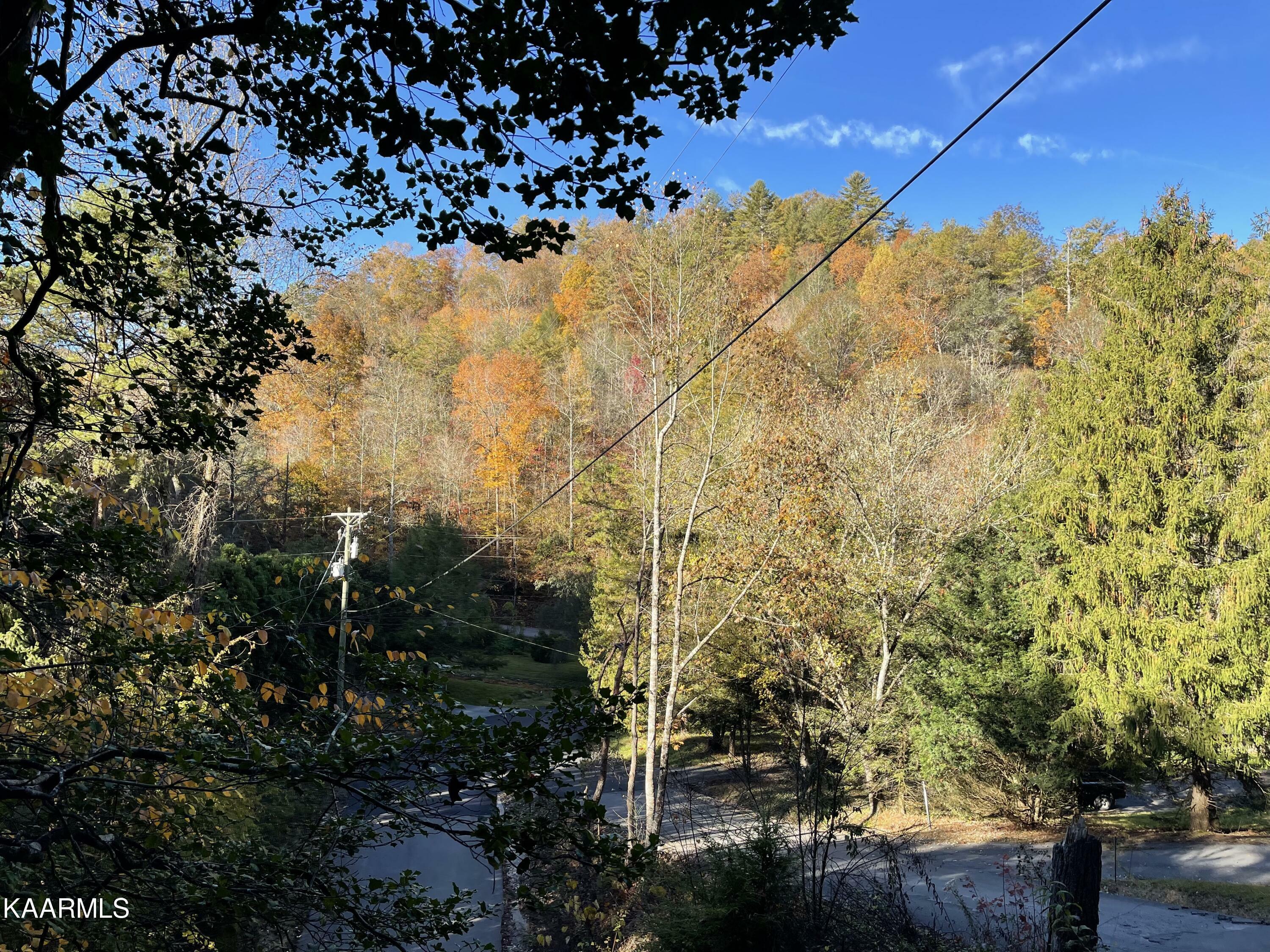 Property Photo: Headrick Lead Lot 3 TN 37876