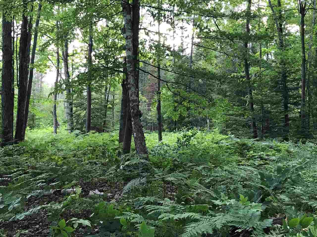 Property Photo: 00 Blumke MI 49706