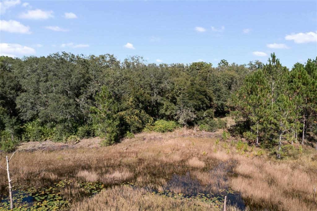 Property Photo:  3138 Bright Lake Circle  FL 34748 