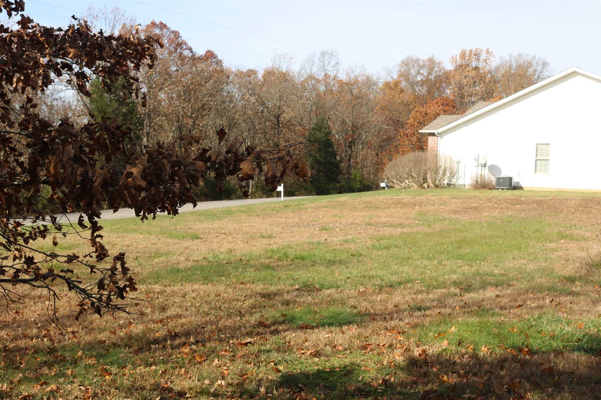 Property Photo: Lot 31 Luxor Landing Lane IL 62939