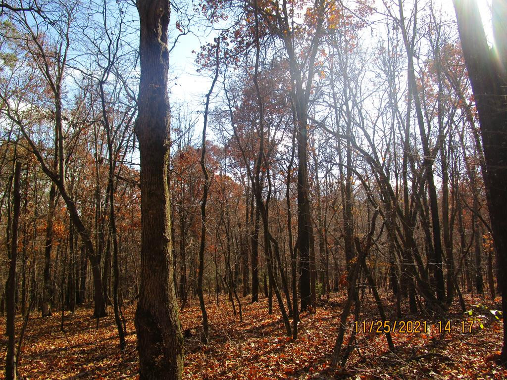 Property Photo: 000 County Road 274 TN 37826