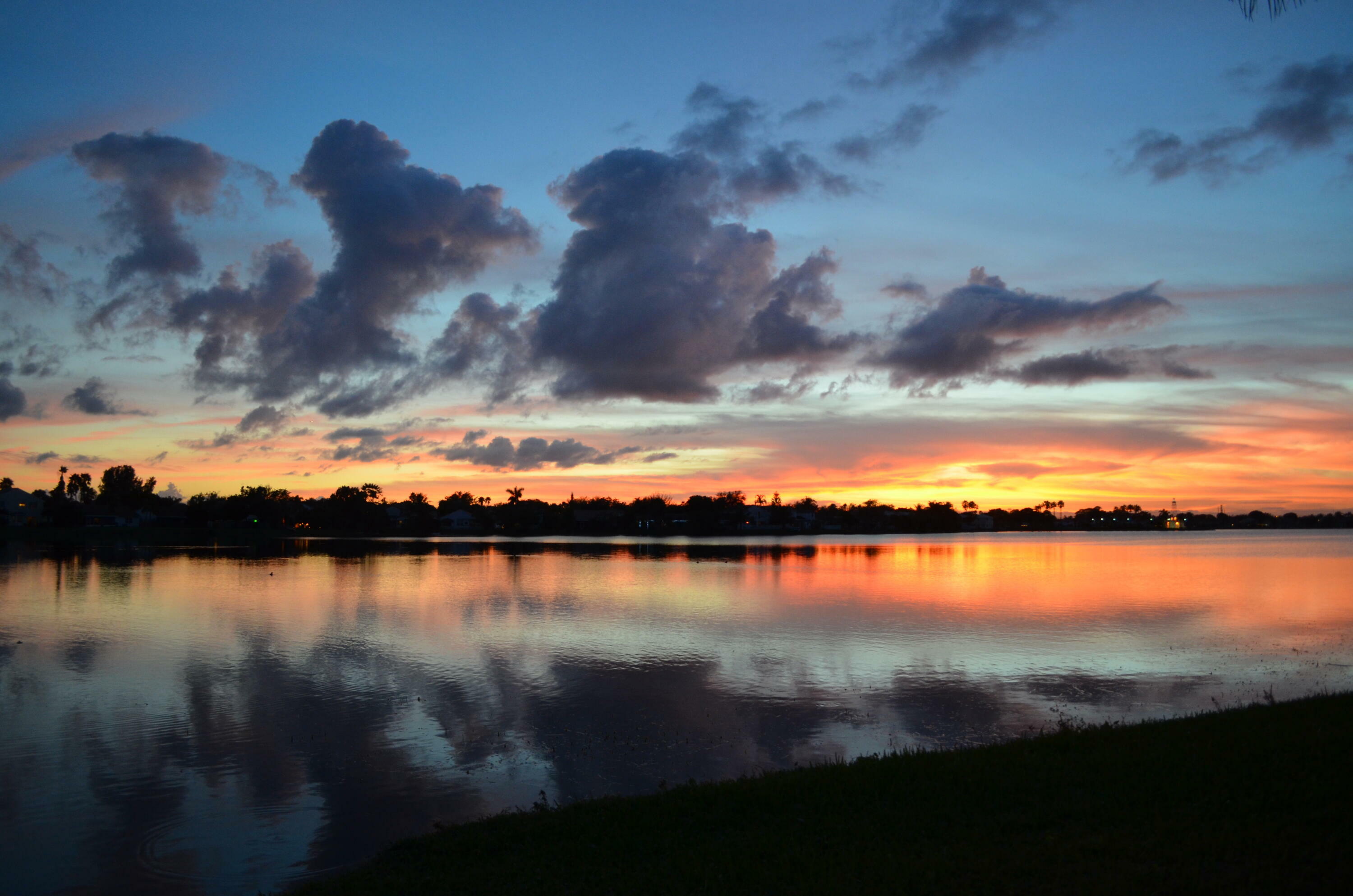 Property Photo: 6186 Buena Vista Drive FL 33063