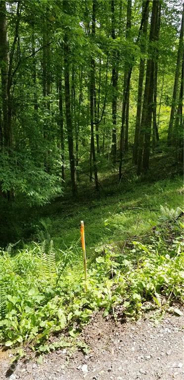 Property Photo:  00 Dickinson Road  NC 28721 