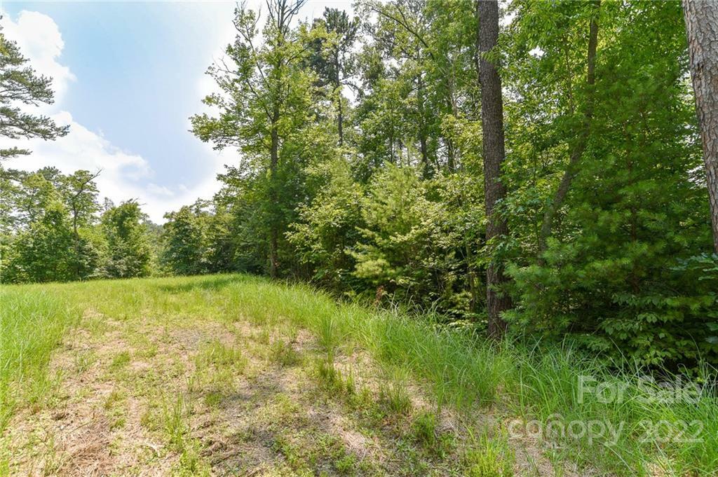 Property Photo:  Lot 4 The Vines Boulevard Lot 4  NC 28753 