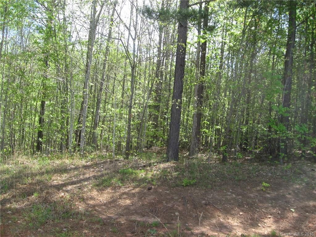 Property Photo: Lot 26 Long Cedar Lane 26 NC 28006
