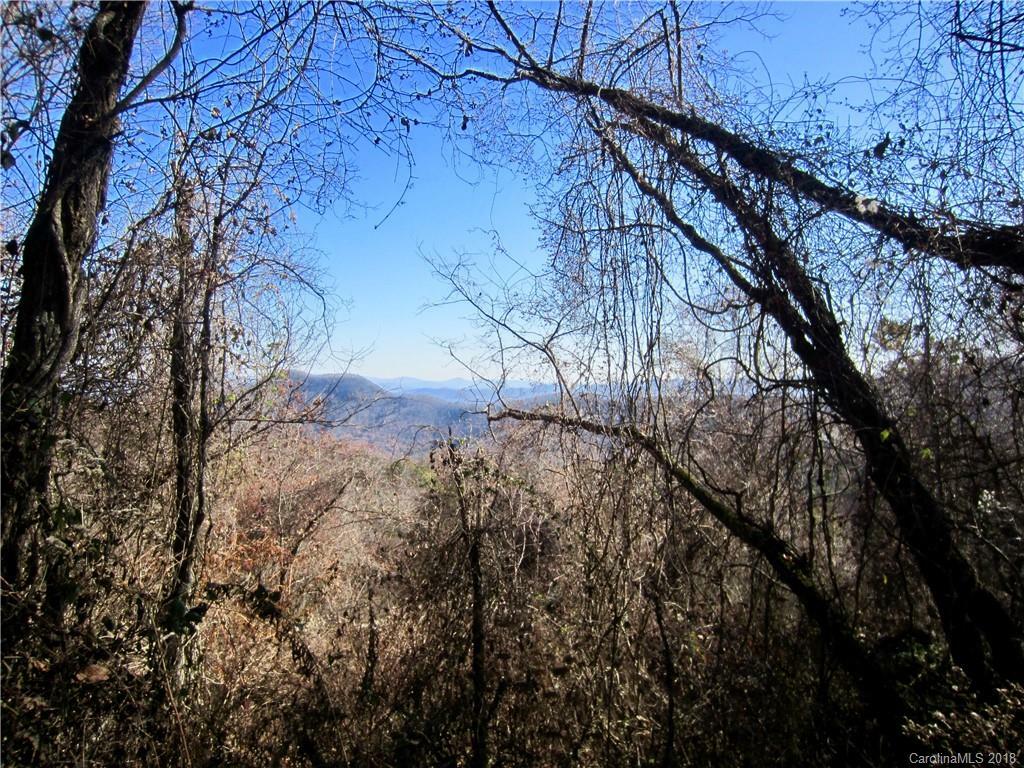 285 Bearwallow Trail 11  Leicester NC 28748 photo