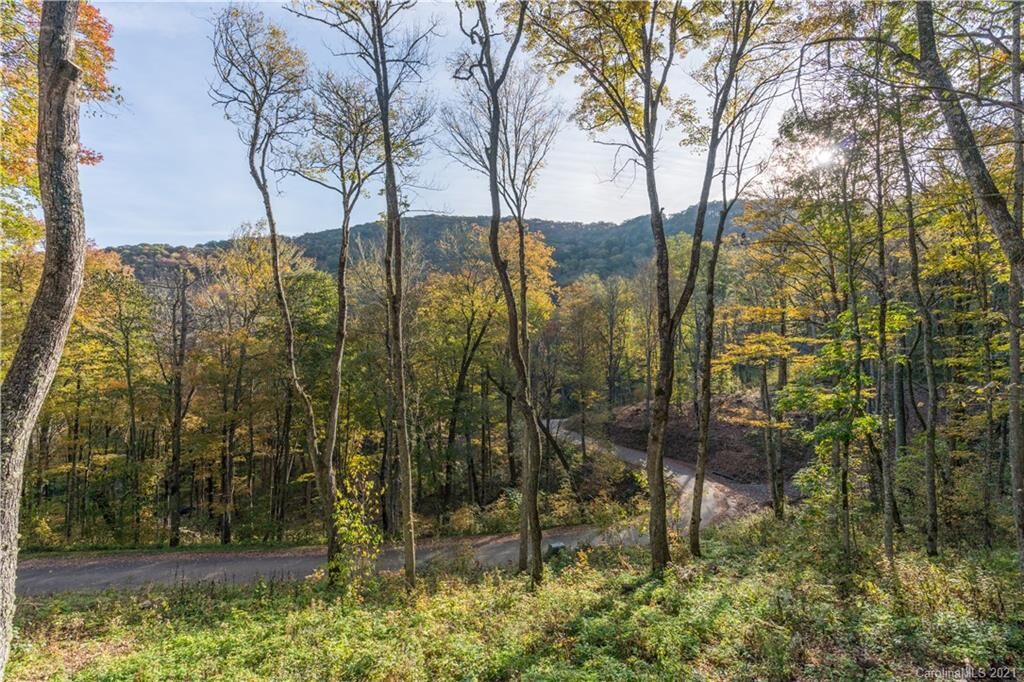 Property Photo:  39 Gata Trail  NC 28751 