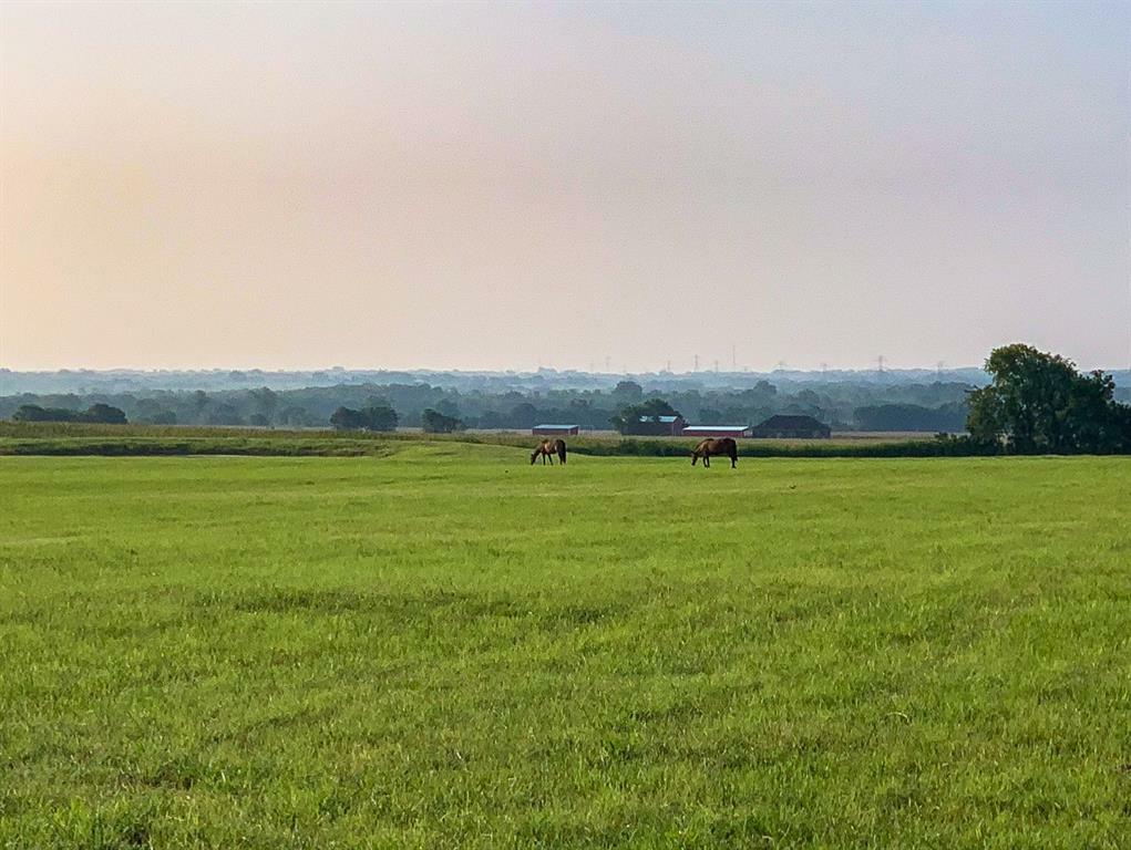 Property Photo:  189 Sherry Lane  TX 76626 