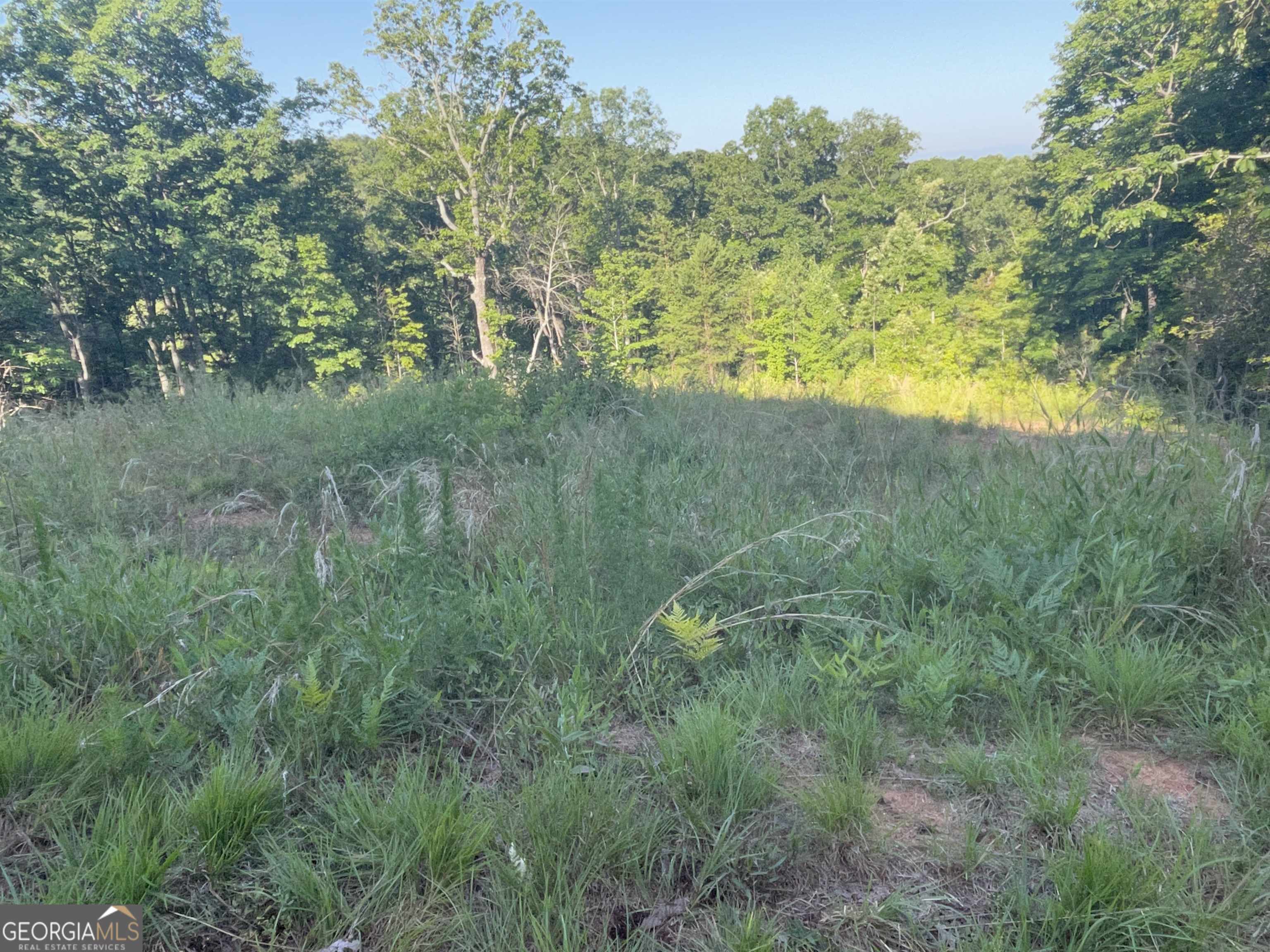 Property Photo:  0 Daybreak Road  GA 30528 