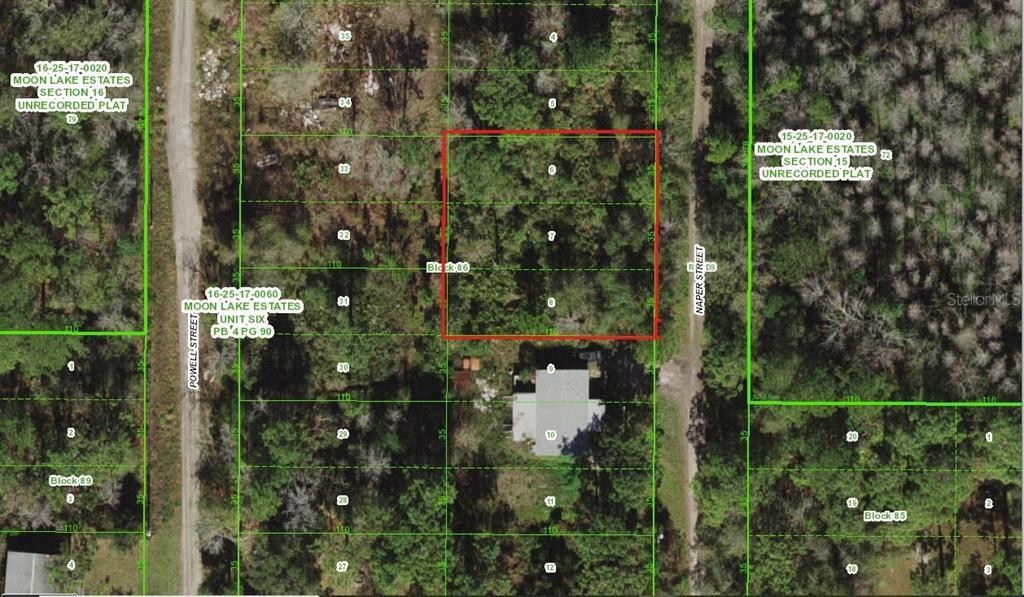 Property Photo: Naper Street FL 34654