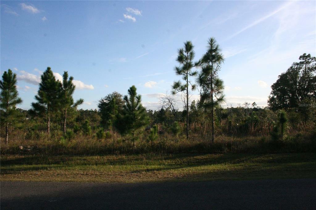 Property Photo:  309 Poinciana Drive  FL 33855 