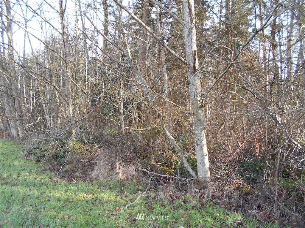 Property Photo: 0 Nhn State Route 525 N WA 98253